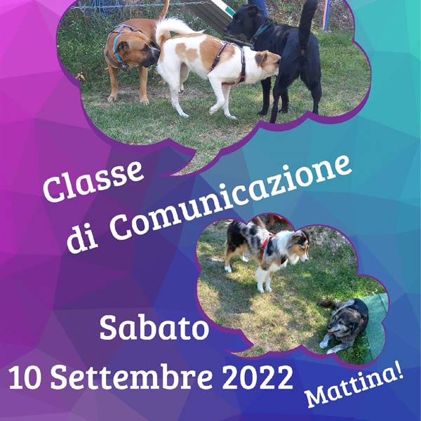 Classe di Comunicazione