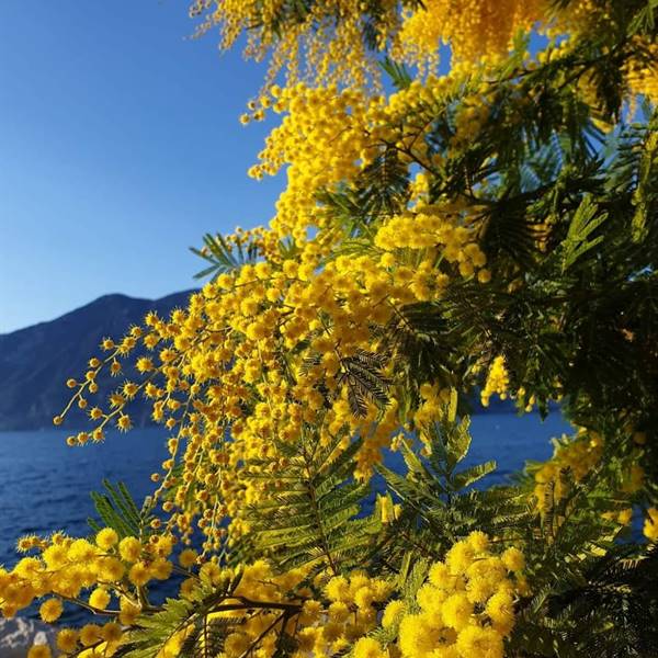 SPRING IS IN THE AIR!