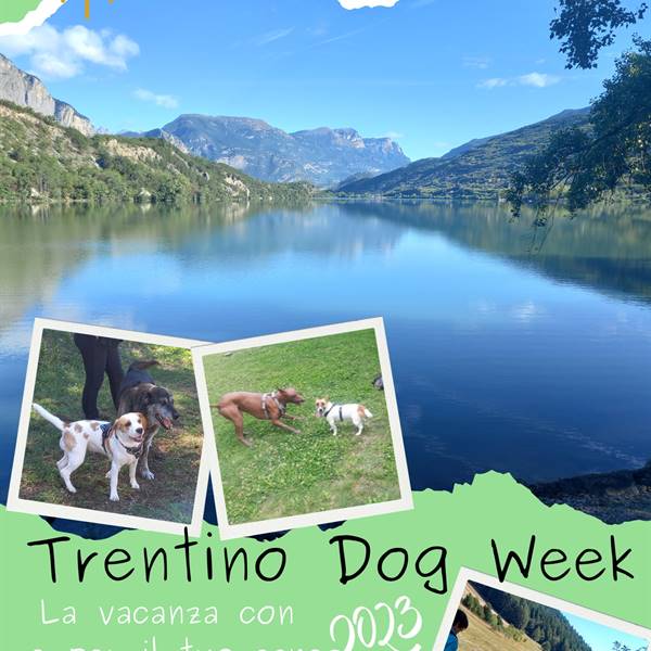 Trentino Dog Week