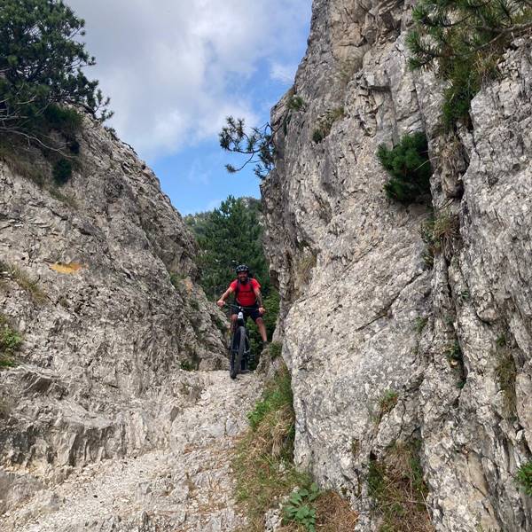 noleggio biciclette torbole