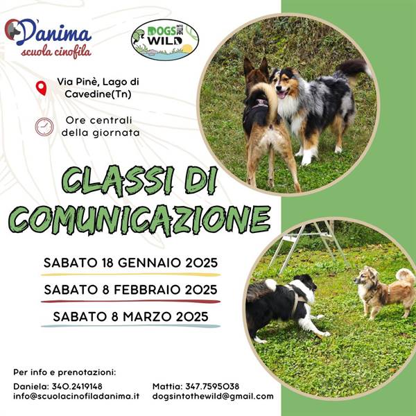 Classi di Comunicazione