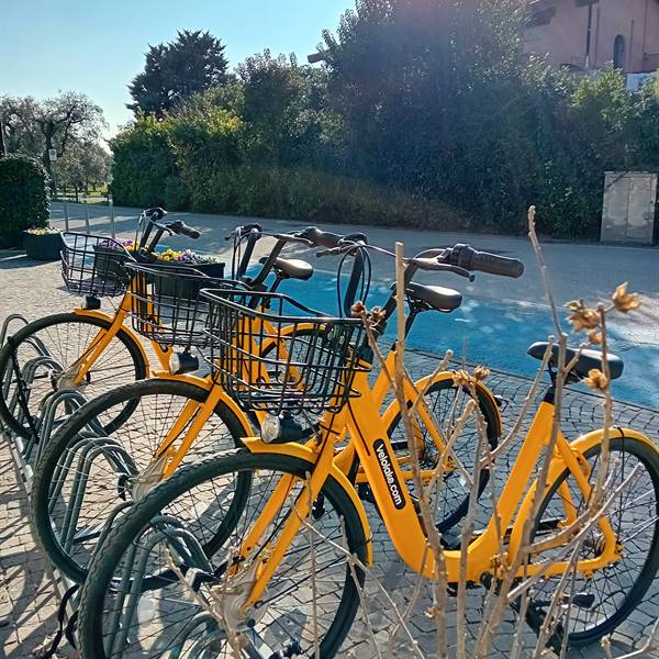 City bike rental