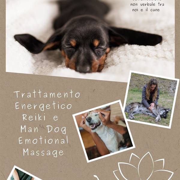 Trattamento Reiki e Massaggio