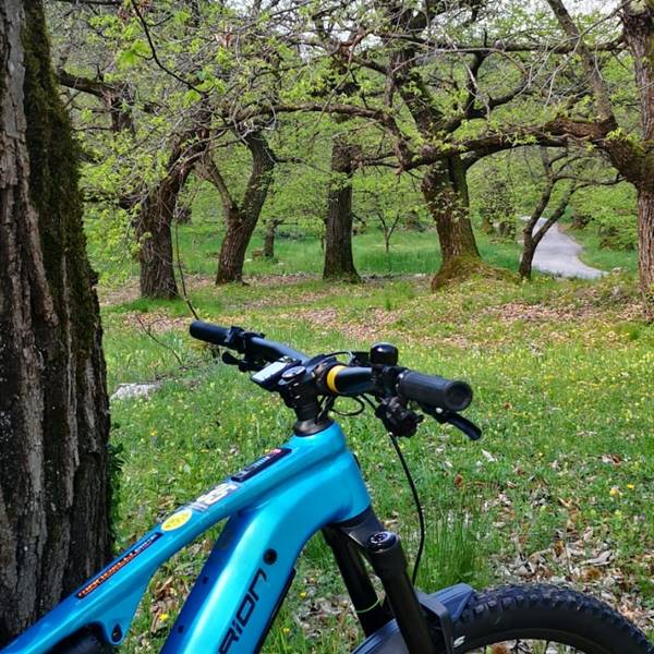 FAHRRADVERLEIH AM GARDASEE