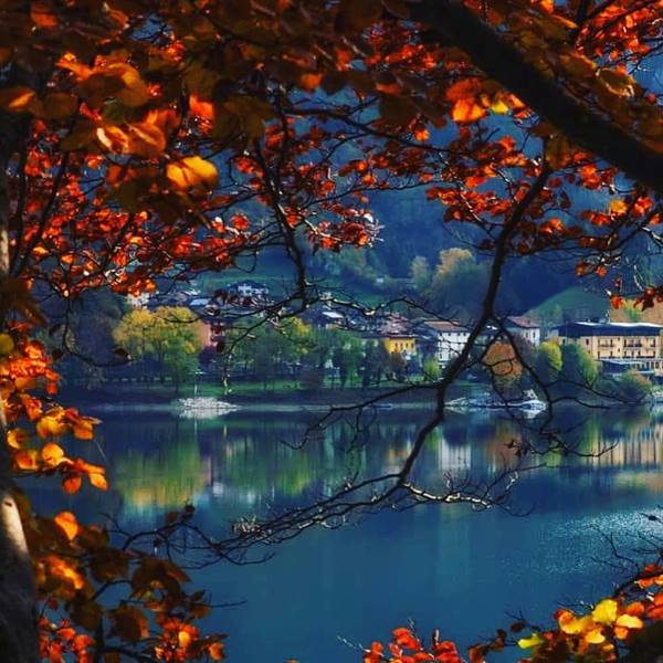 AUTUNNO A LEDRO