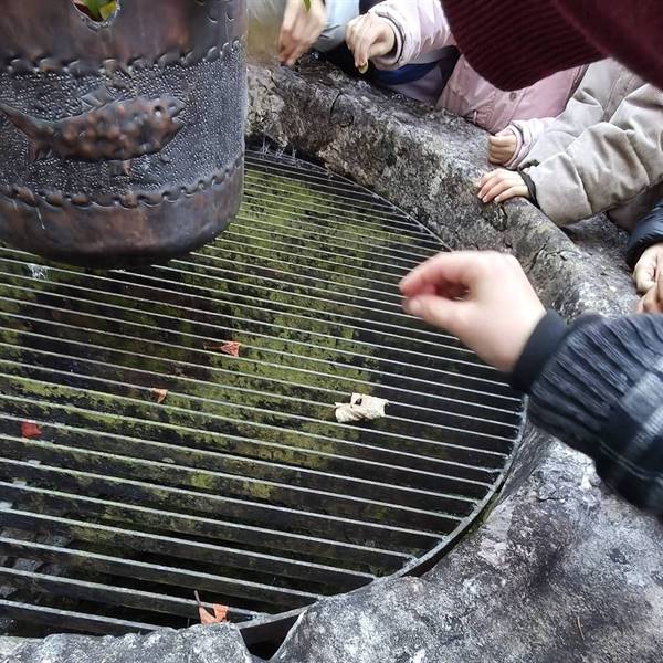 Didattica - Campo Lomaso 