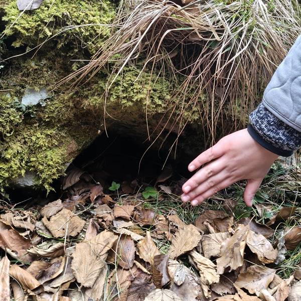 Didattica - Giana e Strie regine della Lomasona 