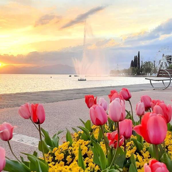 SPRING: marvellous colors and fresch air!!