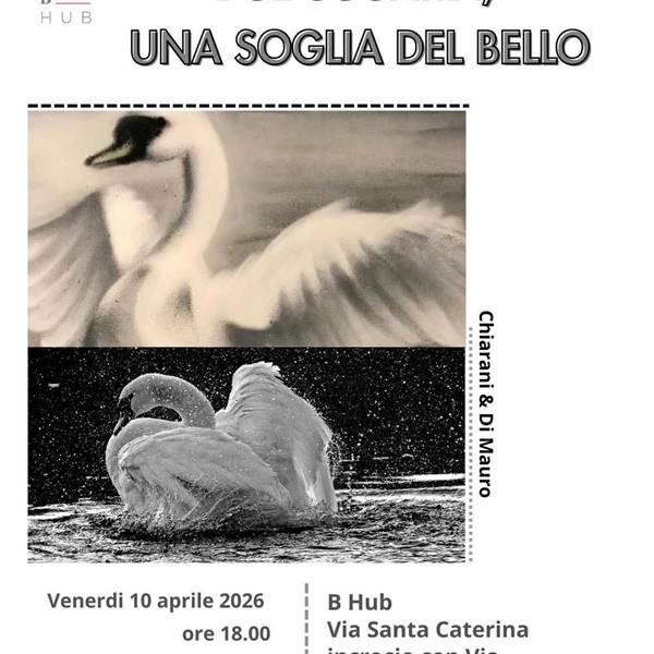 BHub - Ibra & Meneghelli