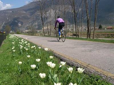 Scopri la Pista Ciclabile Valle dell'Adige Sud