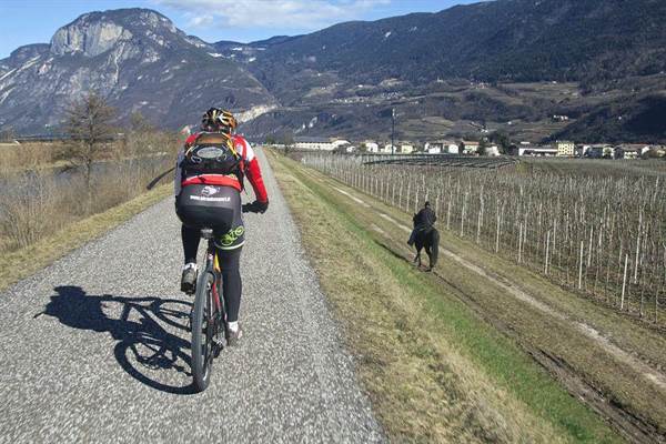 Ciclabile dell'Adige: da Merano a Verona in bici