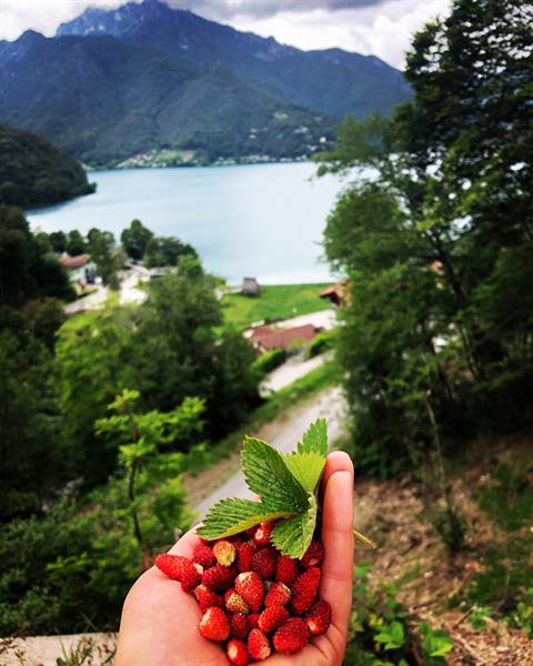 La Valle e i suoi colori