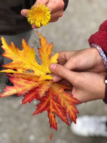 cosa fare in Valle di Ledro?