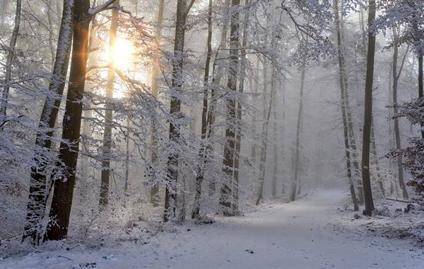 Inverno in Valle di Ledro